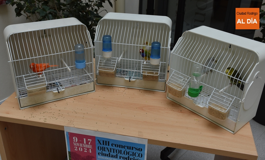 1Foto: Los nuevos inquilinos de la Casa Consistorial