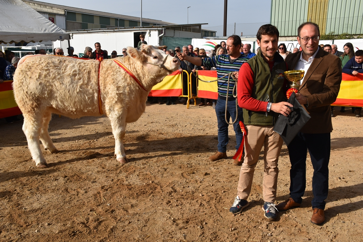 Destacada afluencia de público en una Feria de San Andrés con menos cabezas pero de calidad excelente