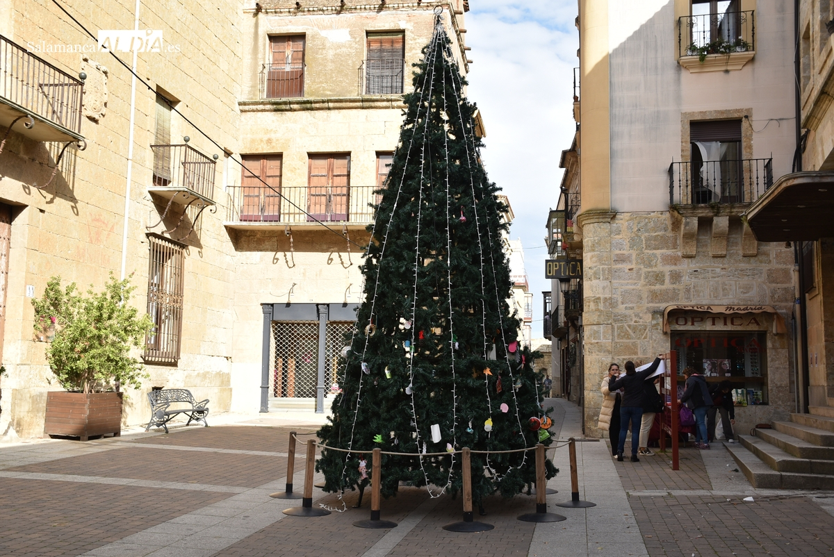 Levantado el pino de Navidad de la calle Madrid