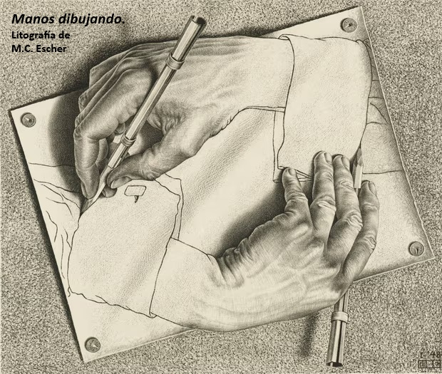 Burros, elefantes, perros y collares