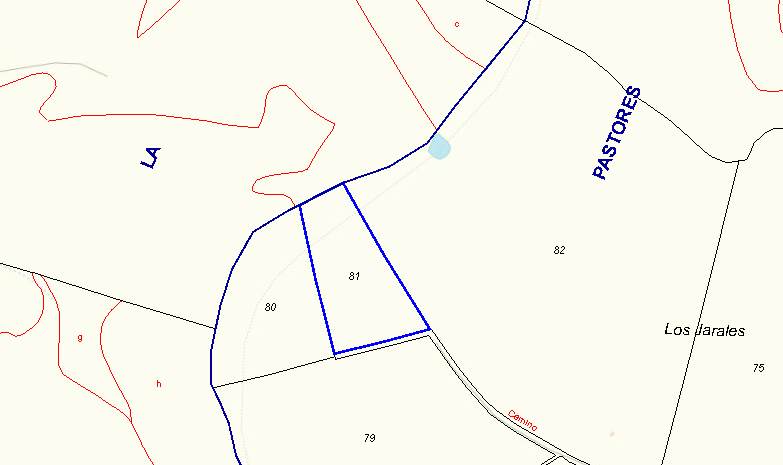 Pastores saca a subasta por 2.404€ una finca de 1,36 hectáreas