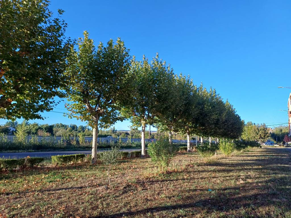 Una imagen de Juanjo Sánchez lucirá en el calendario 2025 de una red europea de gasolineras