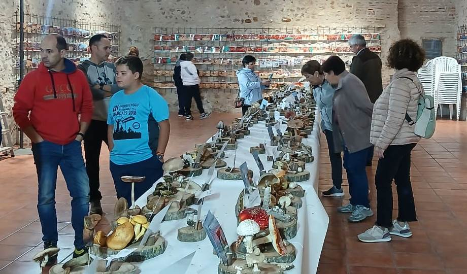 Identificadas más de 100 especies en las Jornadas Micológicas de Sancti-Spíritus