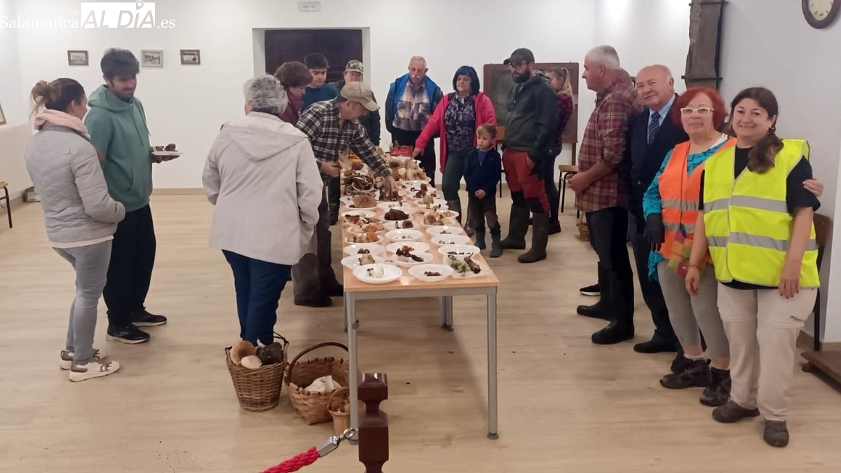 Entretenida jornada micológica en Bañobárez