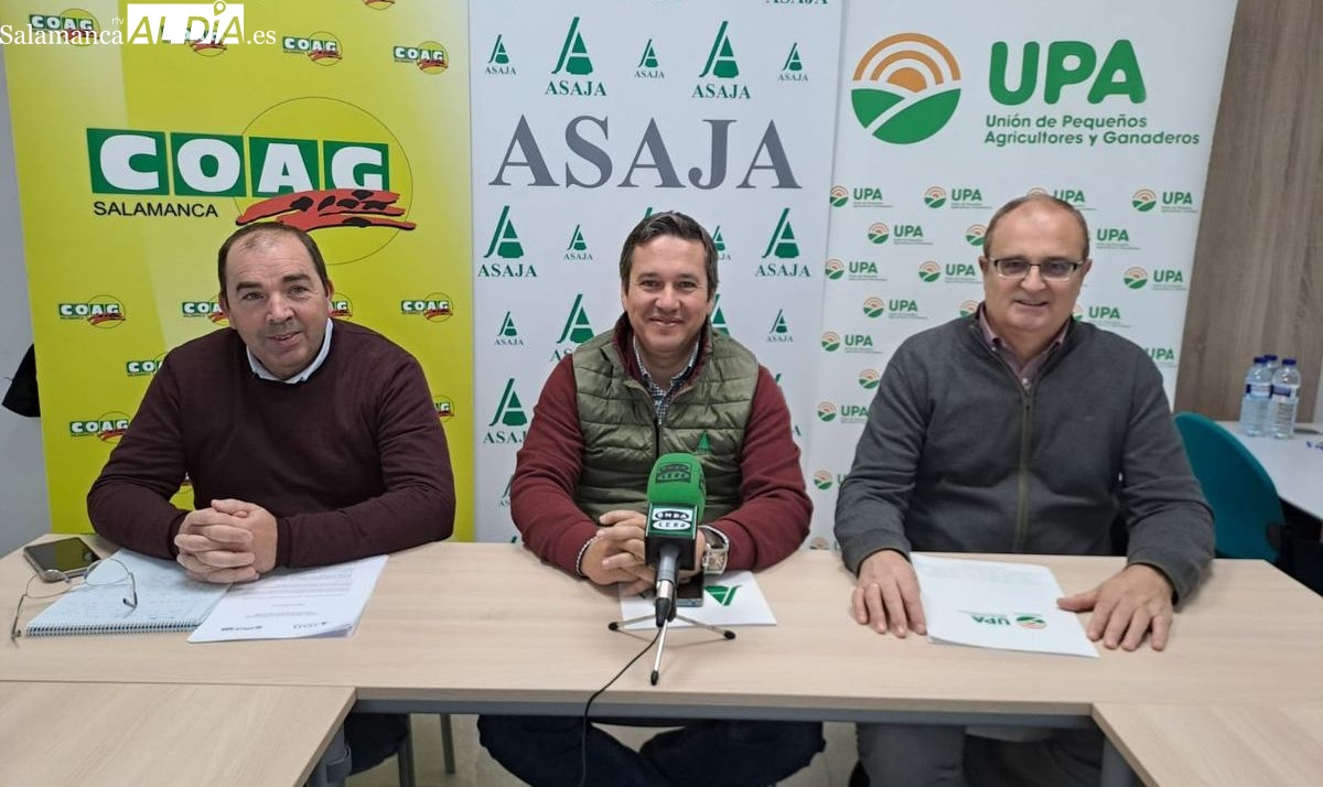  Agricultores en Salamanca se unirán a la concentración en Arévalo por los precios ruinosos del cereal