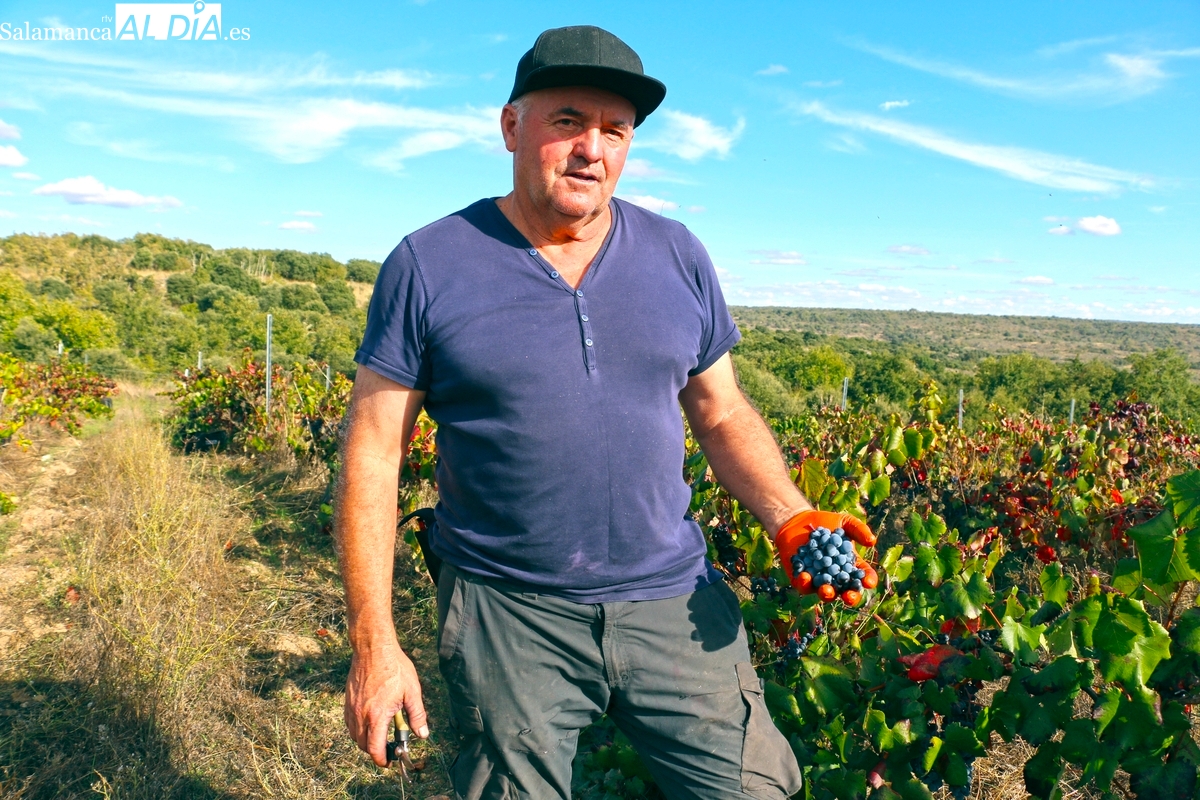 ‘Dominio de Gallo’, nuevo proyecto de emprendimiento vinícola en Arribes