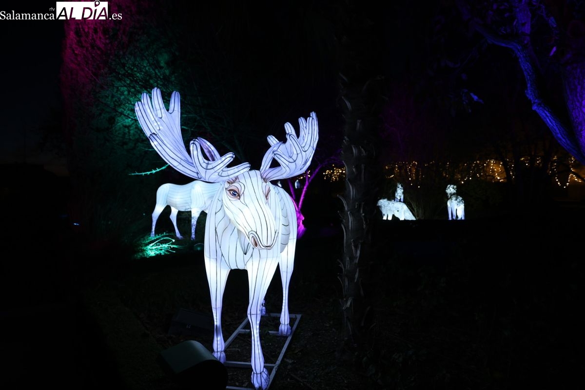 El Huerto de Calixto y Melibea se transforma en ‘La senda de los animales del Hielo’ (Vídeo y fotos) 