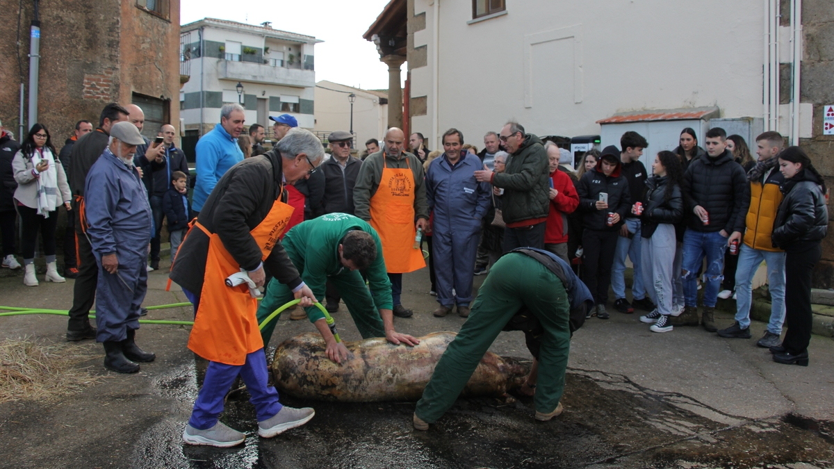Una fiesta charra hará de prólogo a la VI Matanza Tradicional y a la V Fiesta de Capachera en Sobradillo