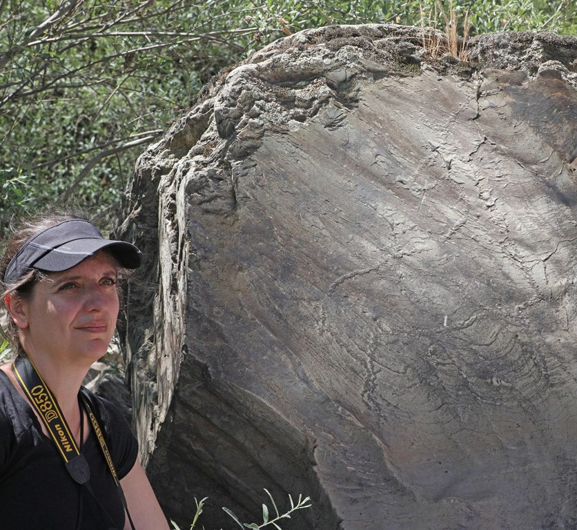 Siega Verde recibirá el sábado a los participantes en el 8º Congreso ‘El Arte en las Sociedades Prehistóricas’