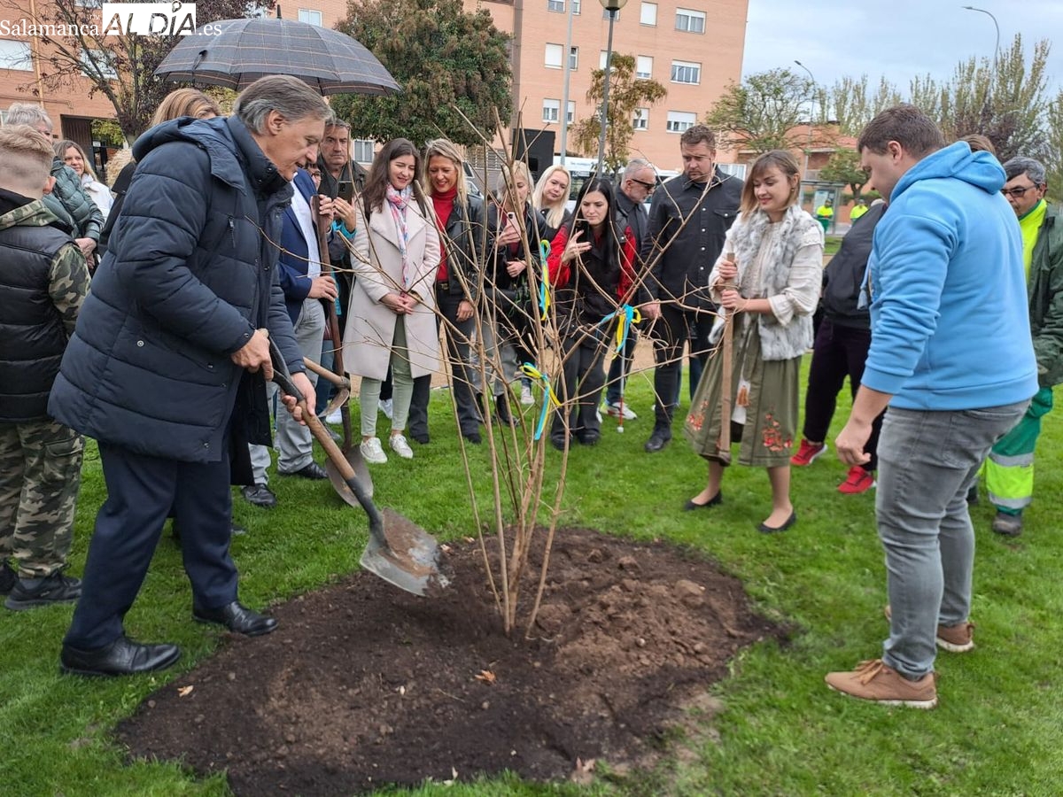 El Jardín de Kalyna, un símbolo de paz y de libertad en el barrio de Chamberí