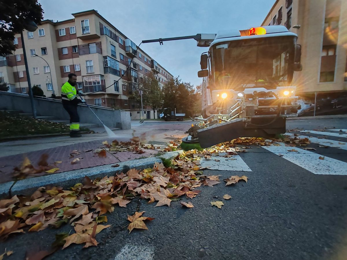 Refuerzo en los medios empleados en la recogida de hojas secas para su aprovechamiento en parques y jardines de Salamanca