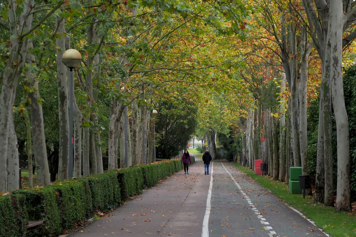 Caminar con los cinco sentidos