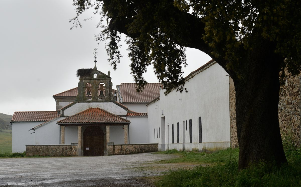 Pausas para la reflexión  