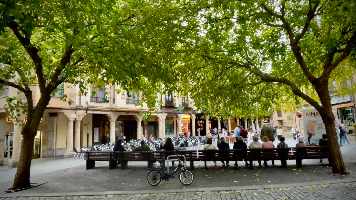 Vivir como los árboles