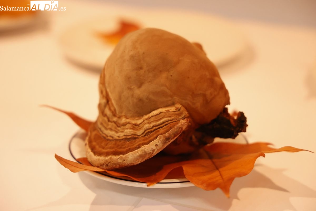 Los establecimientos de Salamanca en los que degustar las mejores setas