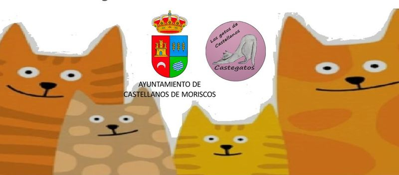 El Mercado Solidario Castegatos regresa este fin de semana a Castellanos de Moriscos