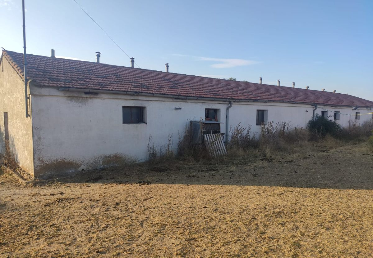 Oportunidad de negocio en el sector ganadero: se vende un cebadero de porcino y vacuno en la provincia de Salamanca