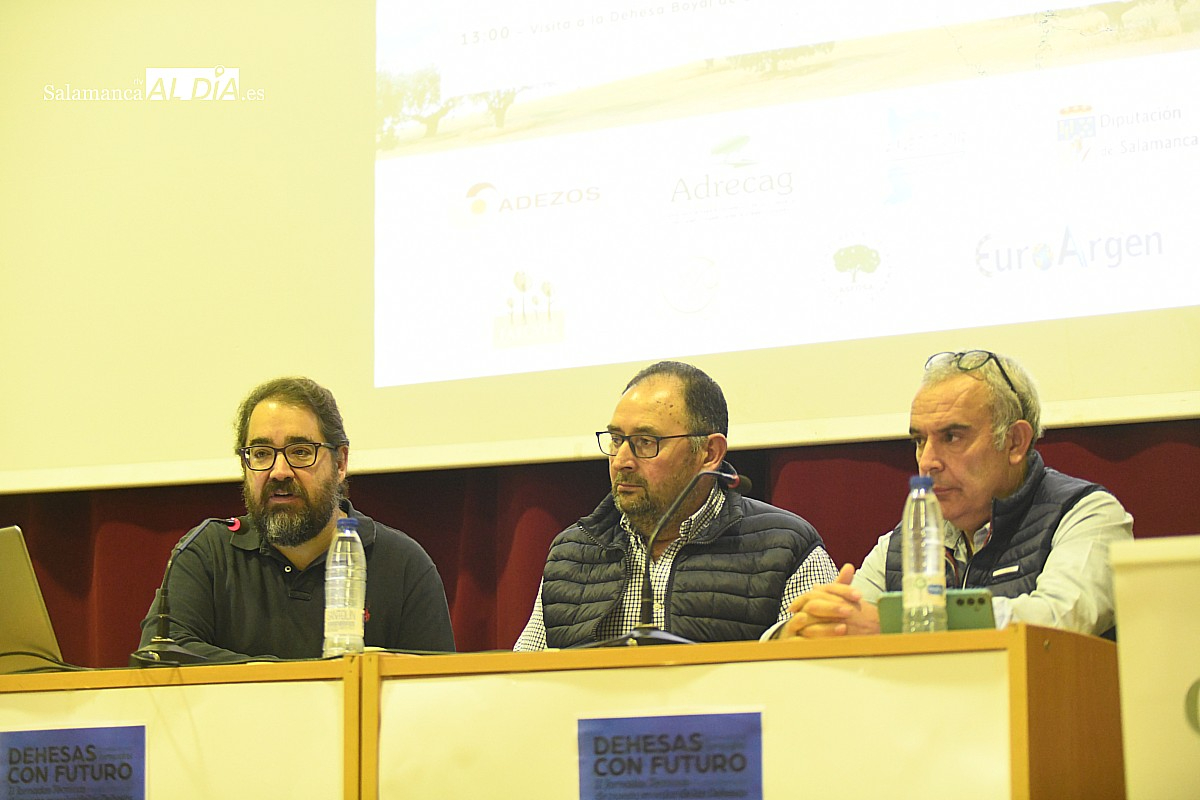 Sancti-Spíritus reúne a especialistas para tratar el futuro de las dehesas