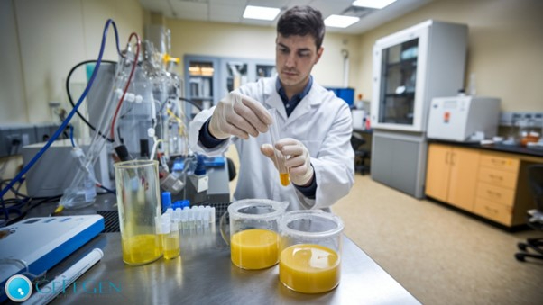 Pruebas de ADN confiables: Conoce Cefegen