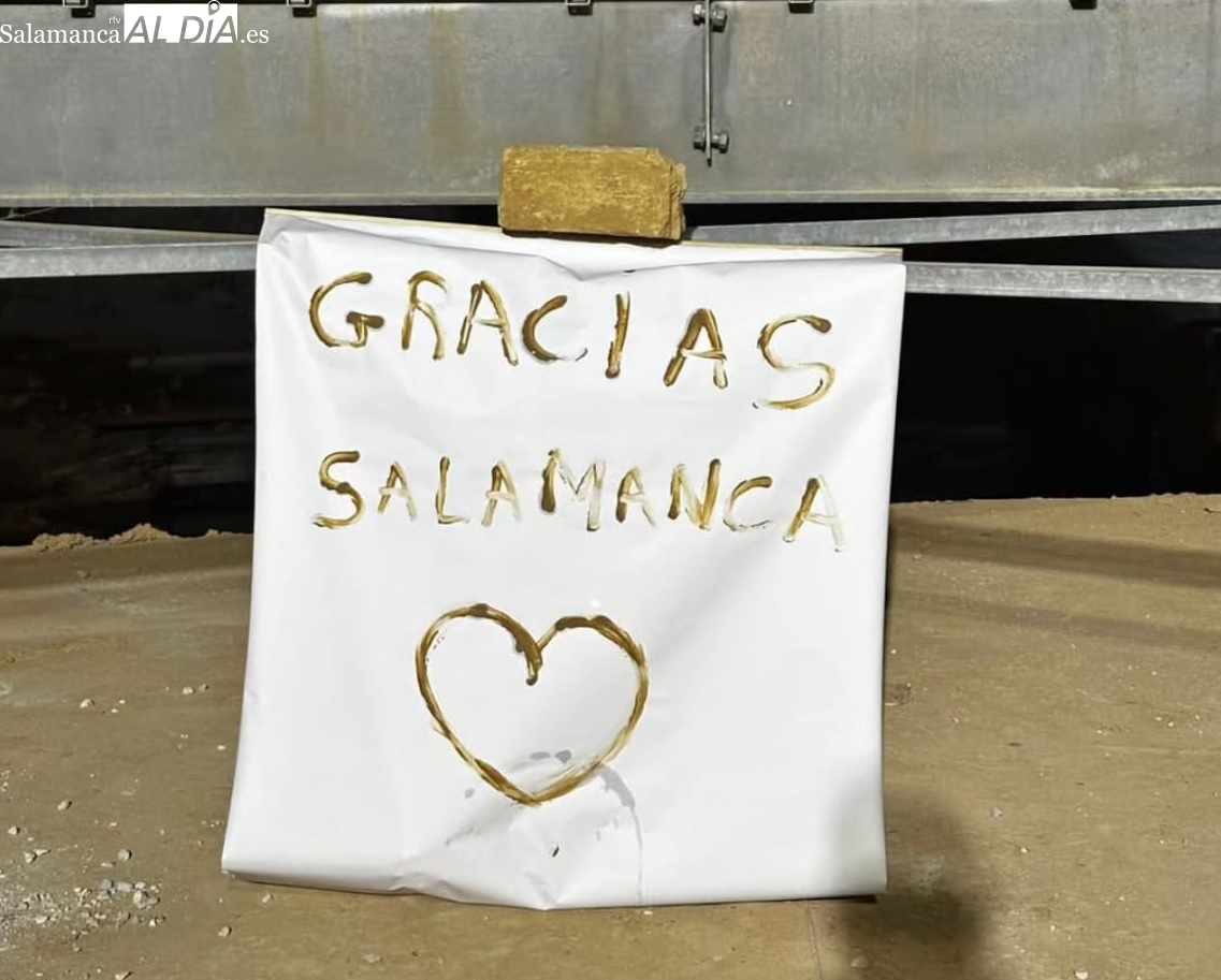 El emotivo mensaje para los militares salmantinos tras construir un puente en dos días en Valencia