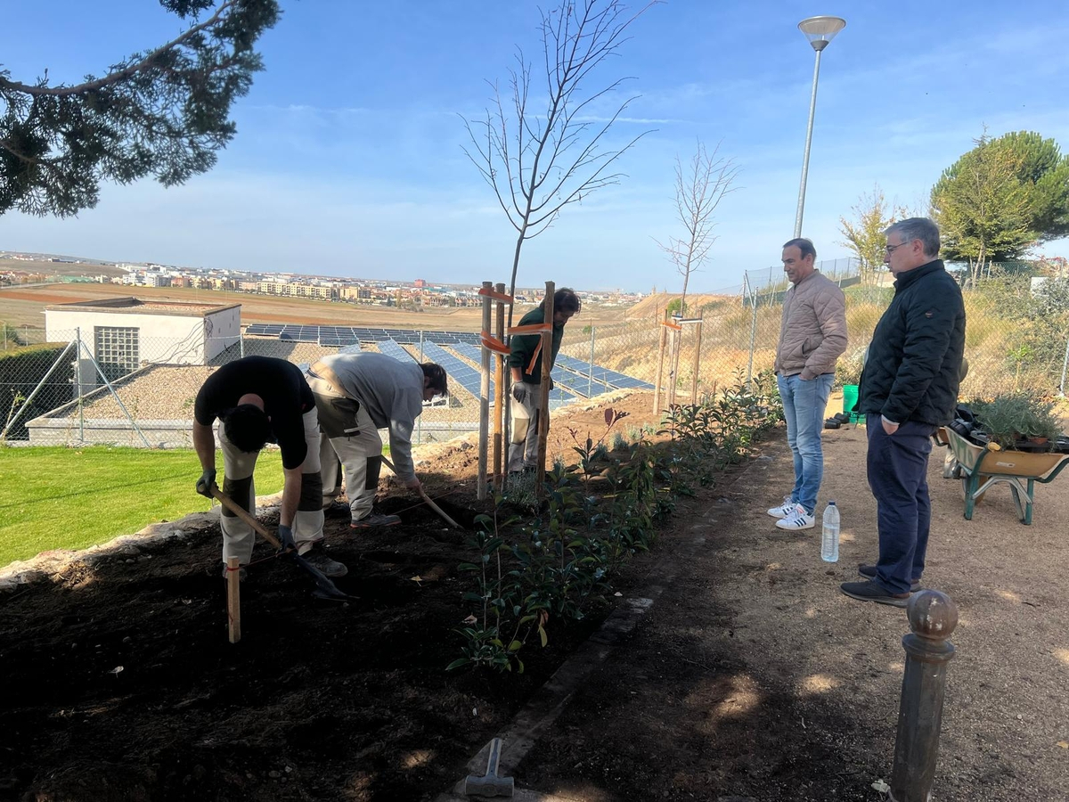 Concluye la recuperación y el acondicionamiento del entorno verde de la Fuente de Valdehigal en Carbajosa