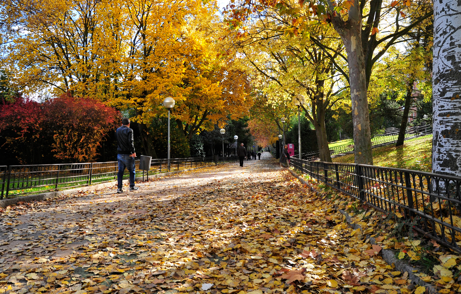 La segunda primavera 