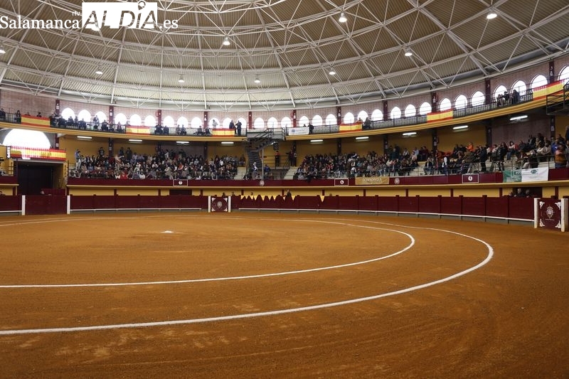 La Comisión Taurina de Algemesí, destino de lo recaudado en el festival taurino de Alba de Tormes