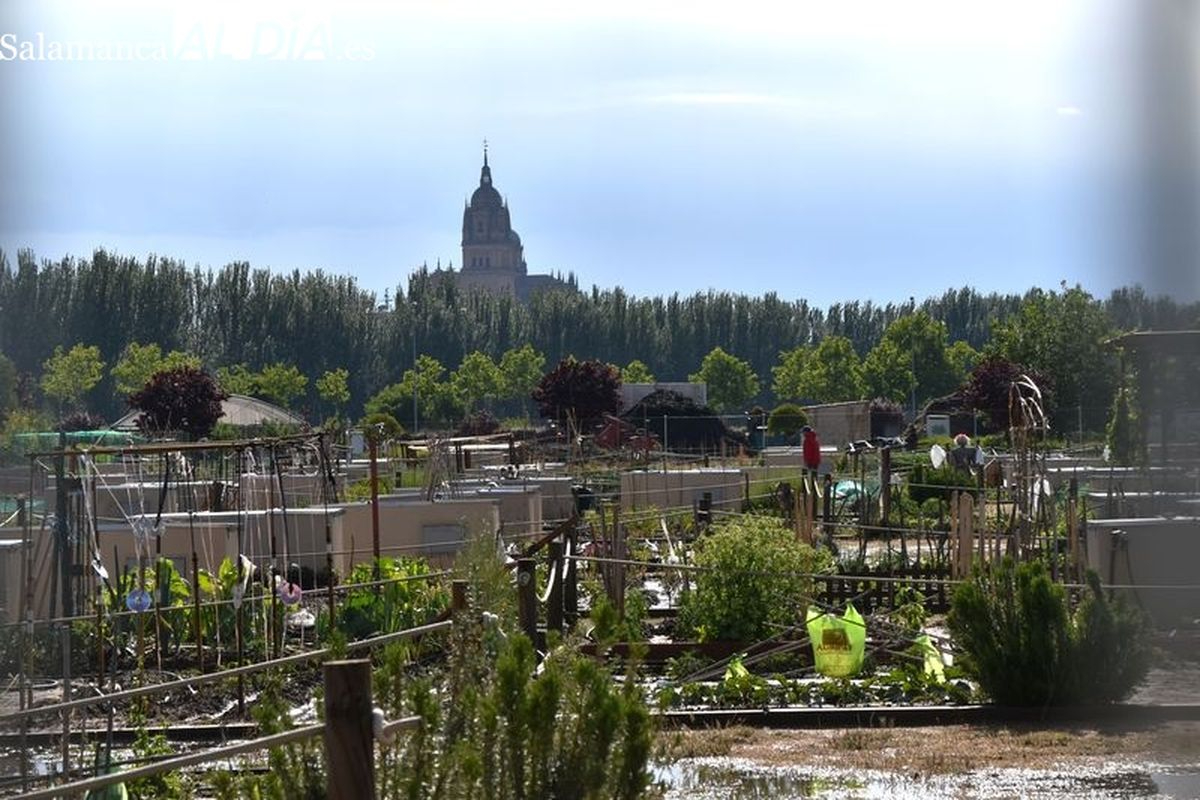 Las 10 rutas urbanas para disfrutar del otoño en la ciudad de Salamanca 