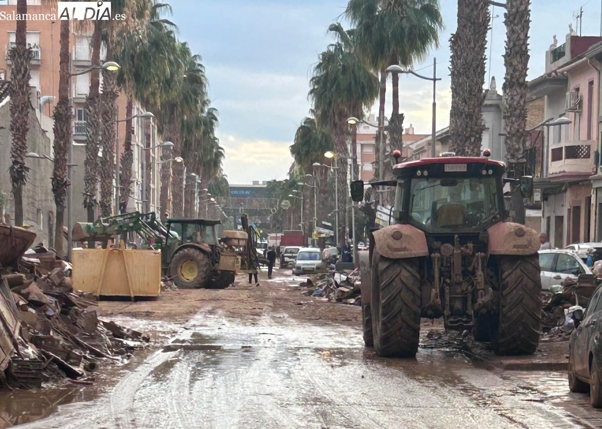 Habilitan un número de teléfono para gestionar la descarga de los camiones con alimentos en Valencia