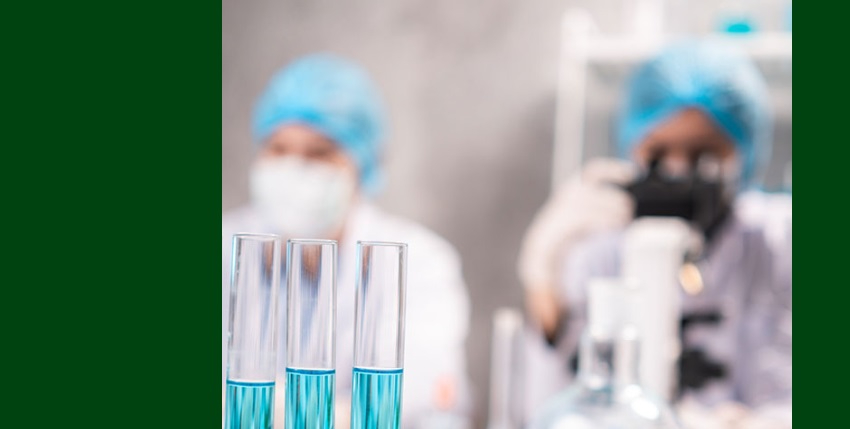 Vuelve la Semana de la Ciencia en Castilla y León del 9 a 16 de noviembre