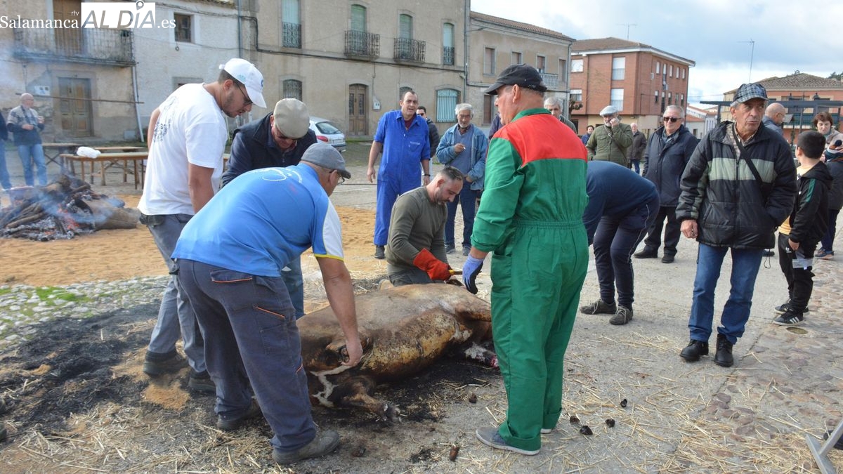 Hinojosa de Duero celebra la XXIII edición de la Matanza Típica del Cerdo