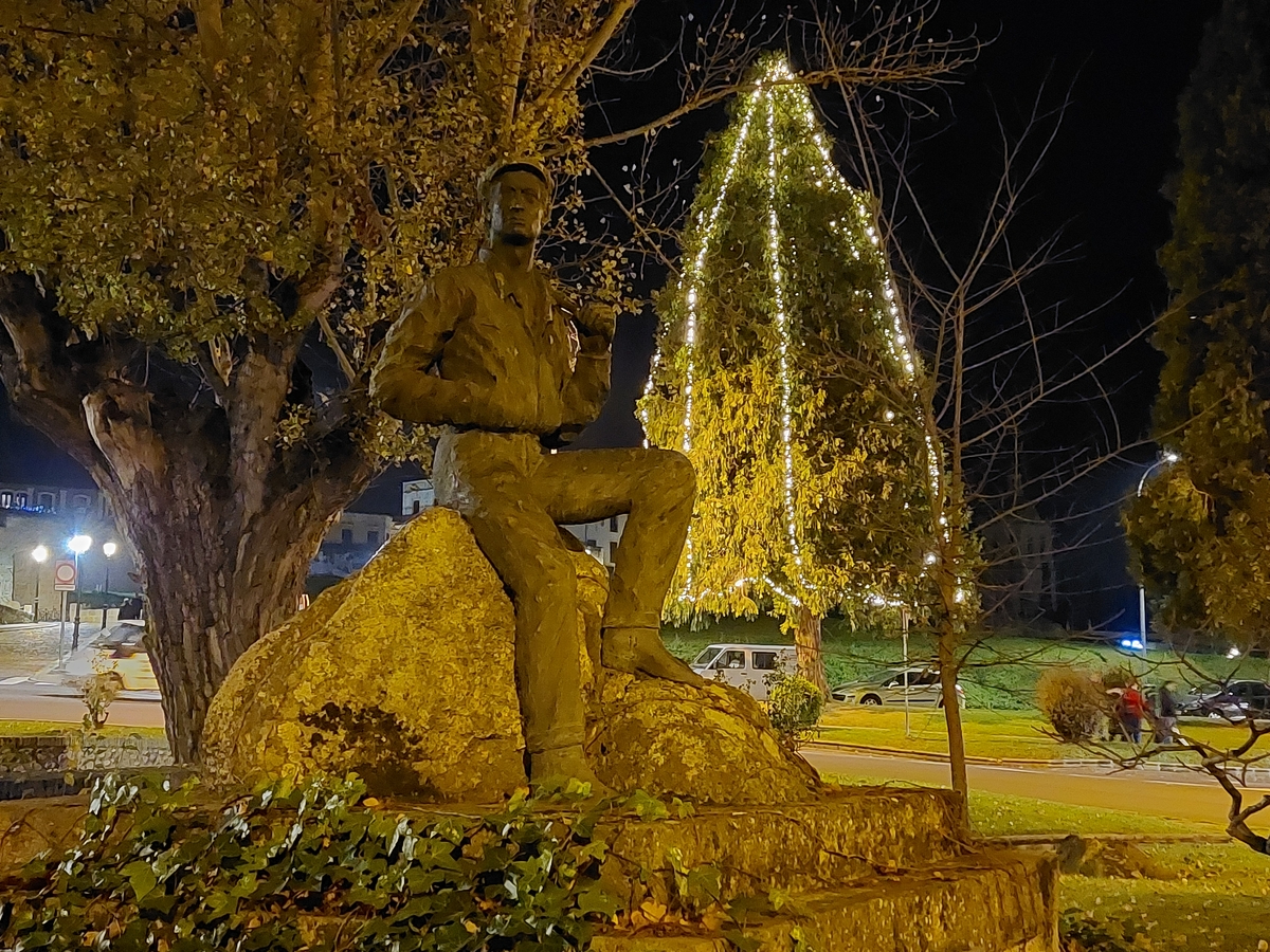 Uno de los árboles de la Glorieta del Árbol Gordo incorpora iluminación