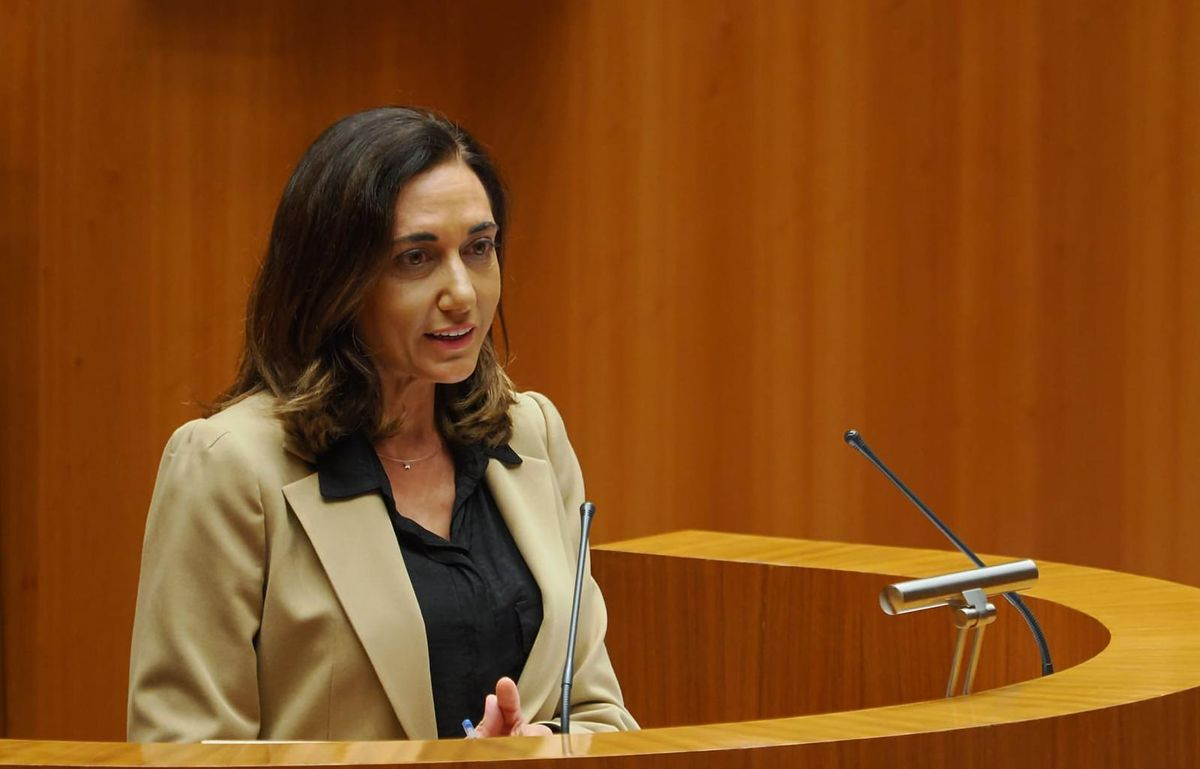 UPL reclama en las Cortes medidas contundentes para frenar el éxodo de jóvenes desde Salamanca a otros territorios 