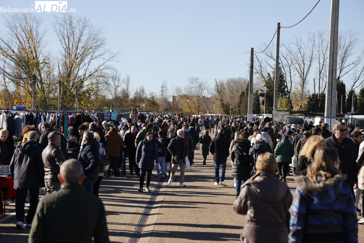 Buen ambiente este domingo en el Rastro y la ribera del Tormes (FOTOS) 