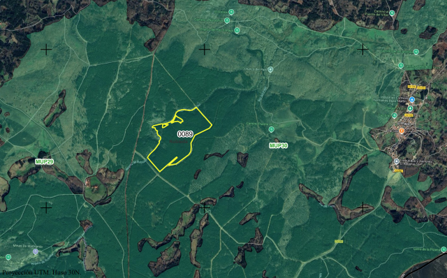 El Payo espera recaudar al menos 410.530€ con la subasta de seis aprovechamientos forestales