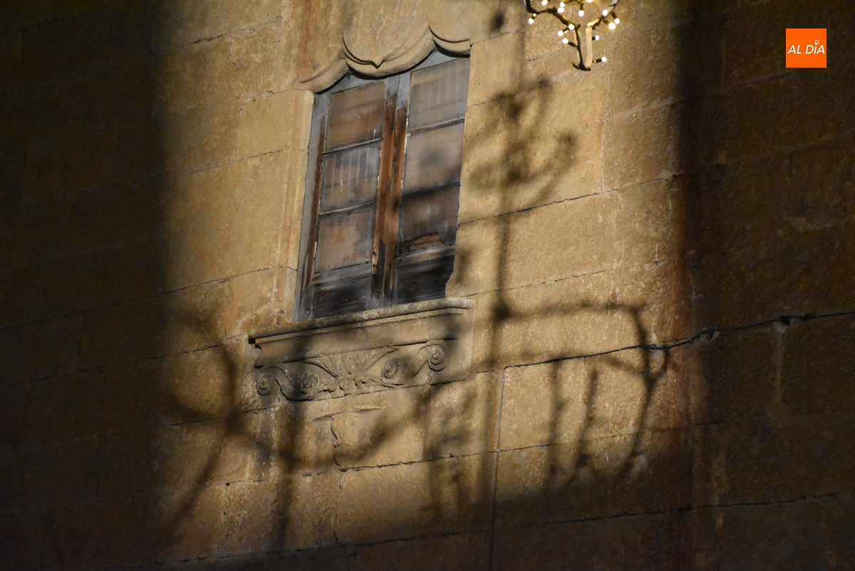 1Foto: Iluminación animalística