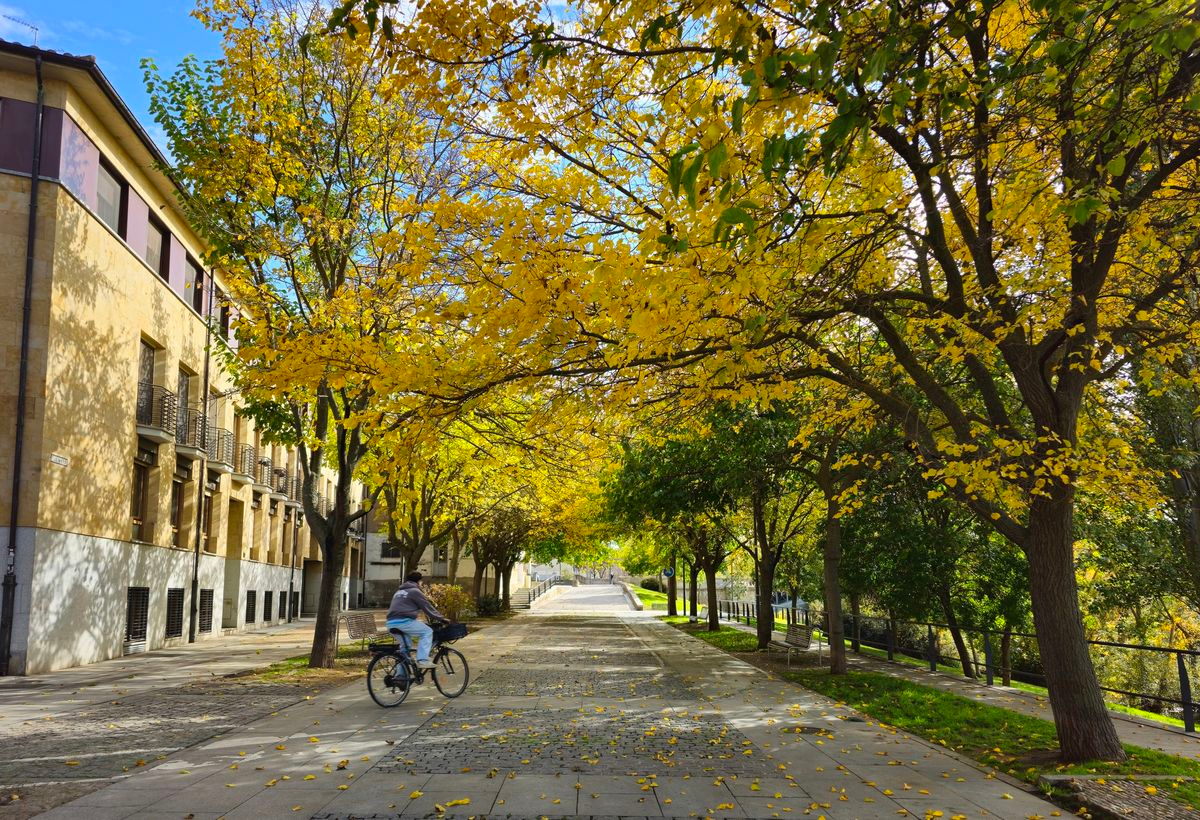 La vida y el equilibrio  