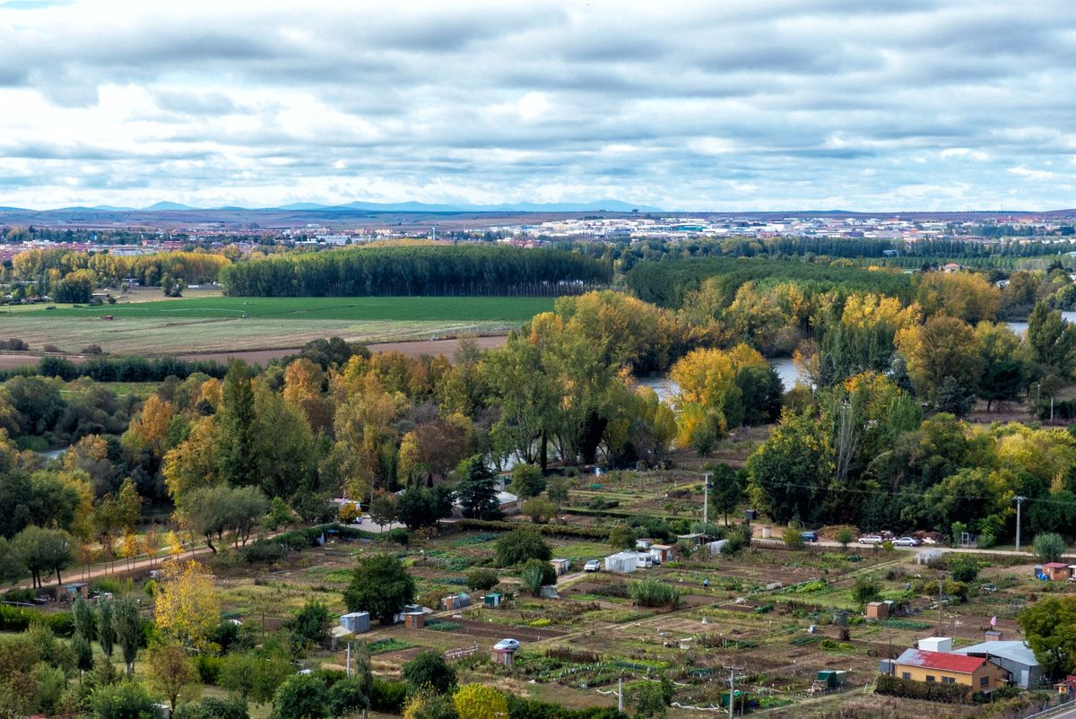 El placer de las sensaciones simples