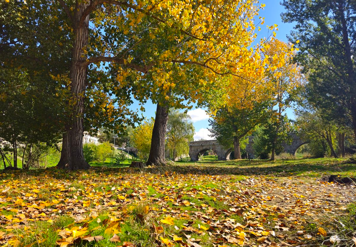  El poder de los puentes