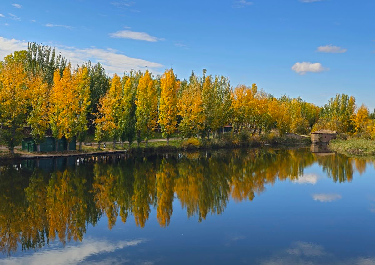 El poder de perseverancia 