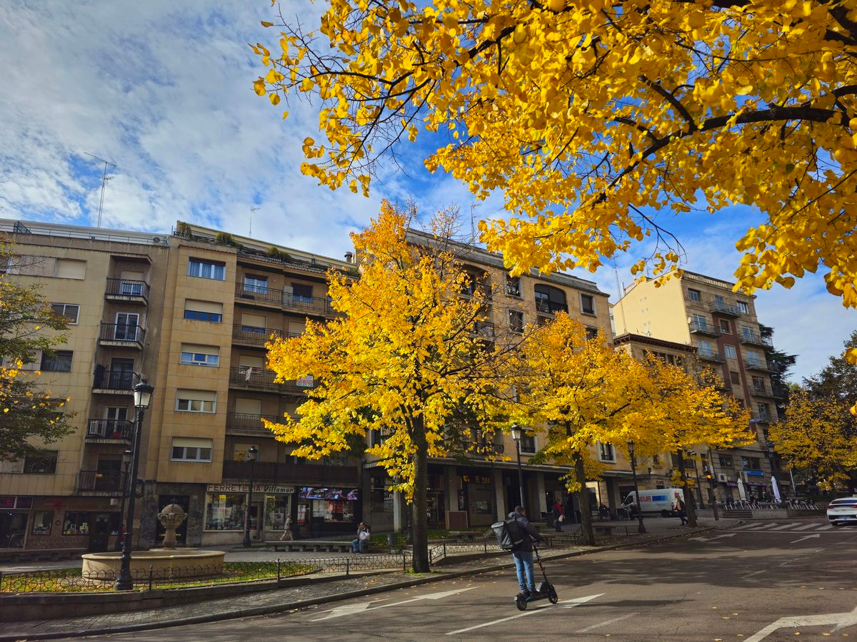 Tu voluntad y tu destino 