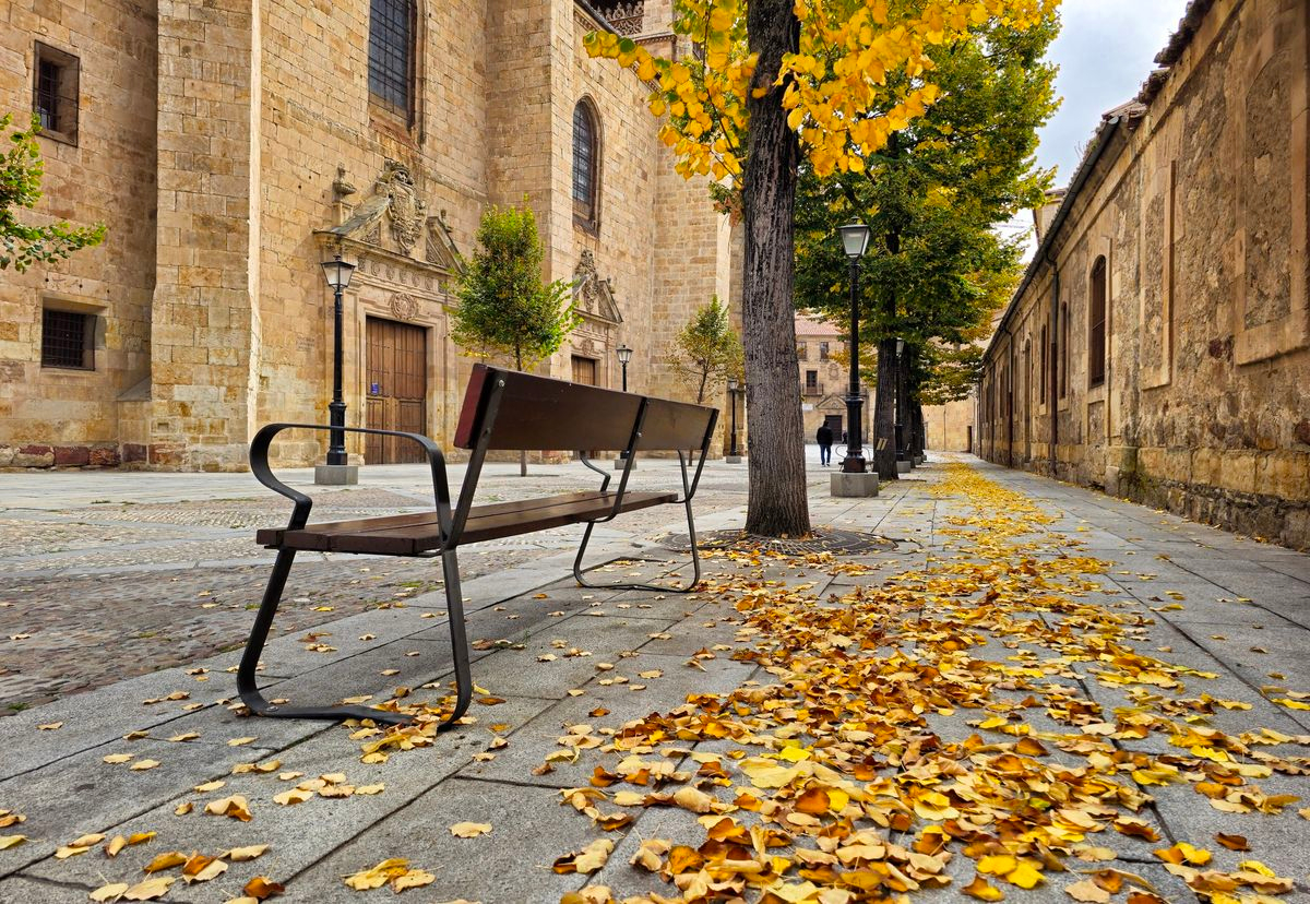 Momentos y experiencias