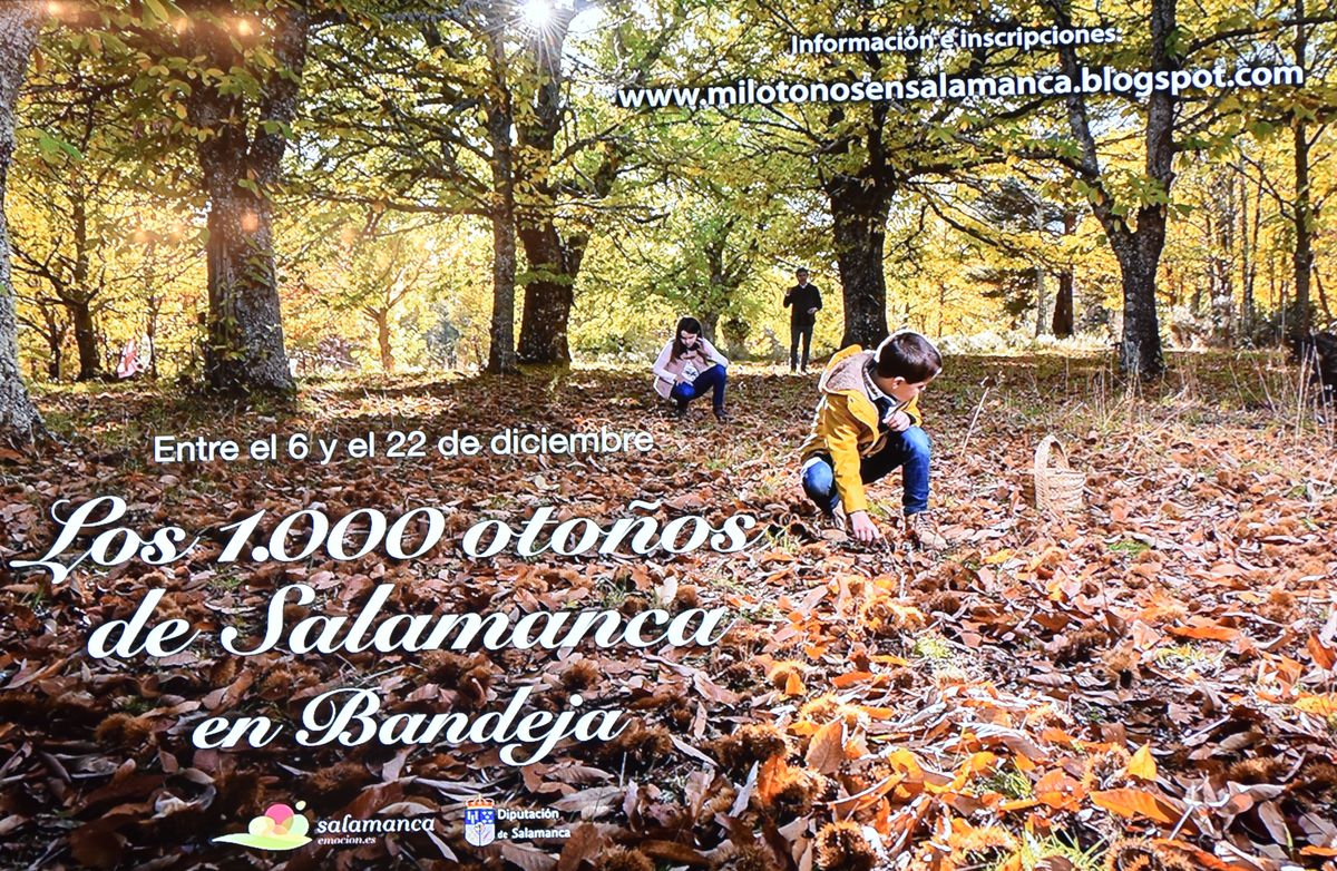 Visitas guiadas y gratuitas, con actores y música, en Los 1.000 otoños de Salamanca en bandeja