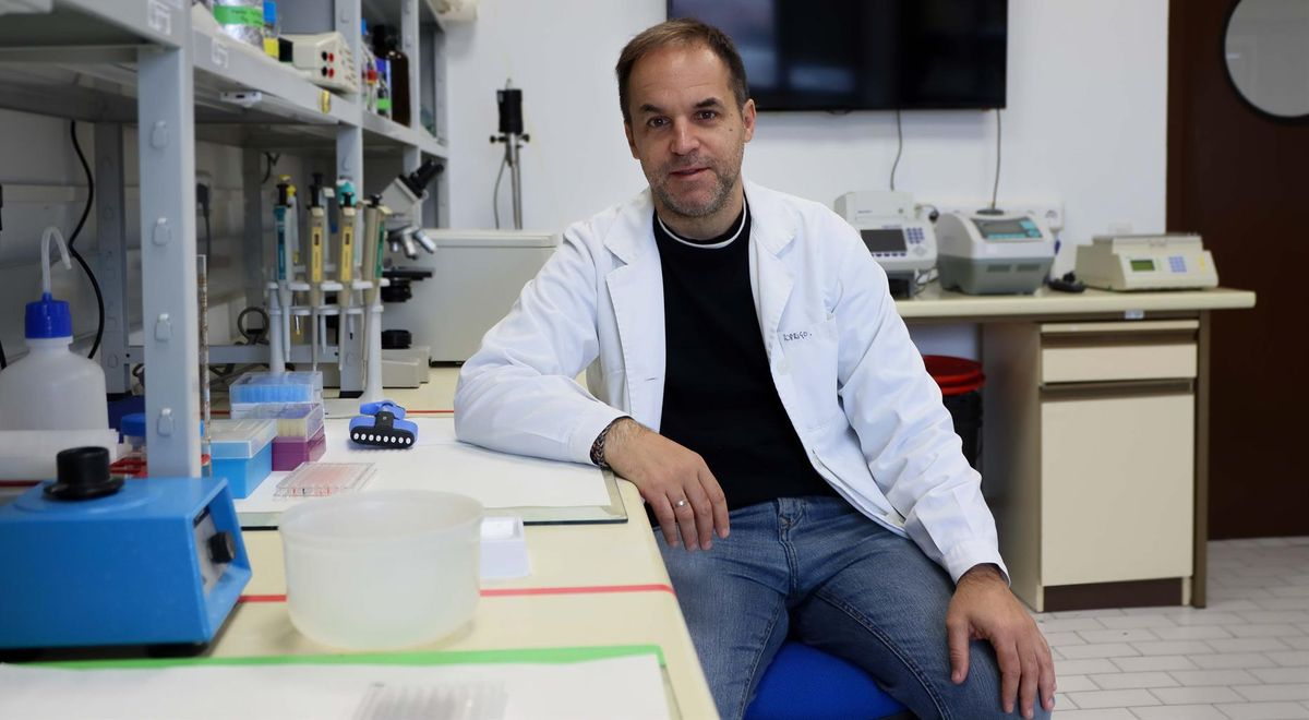 La USAL avisa de la expansión de la enfermedad del gusano del corazón en perros y gatos