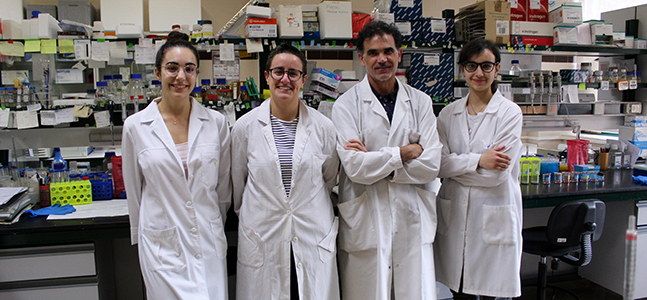 USAL e IBSAL abren una nueva vía terapéutica contra la leucemia mieloide aguda, la más frecuente y de peor pronóstico en adultos