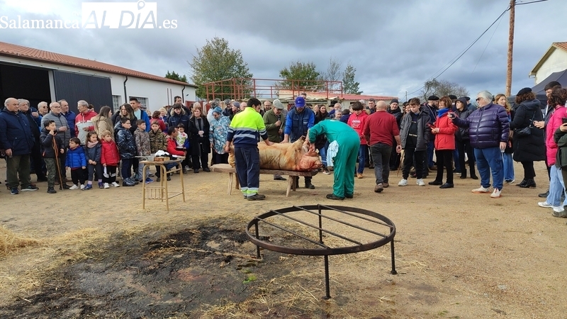 Barruecopardo tiene todo preparado para una nueva edición de su matanza tradicional
