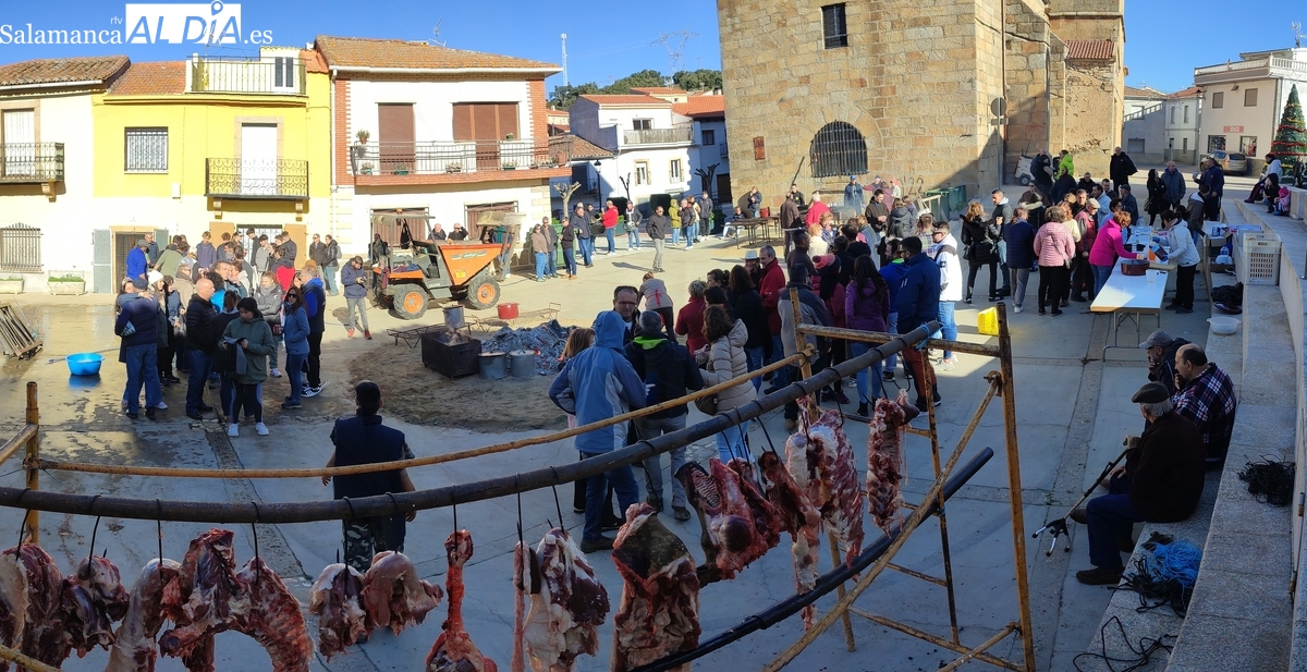 Saucelle celebra una XIV Matanza Tradicional de lo más solidaria