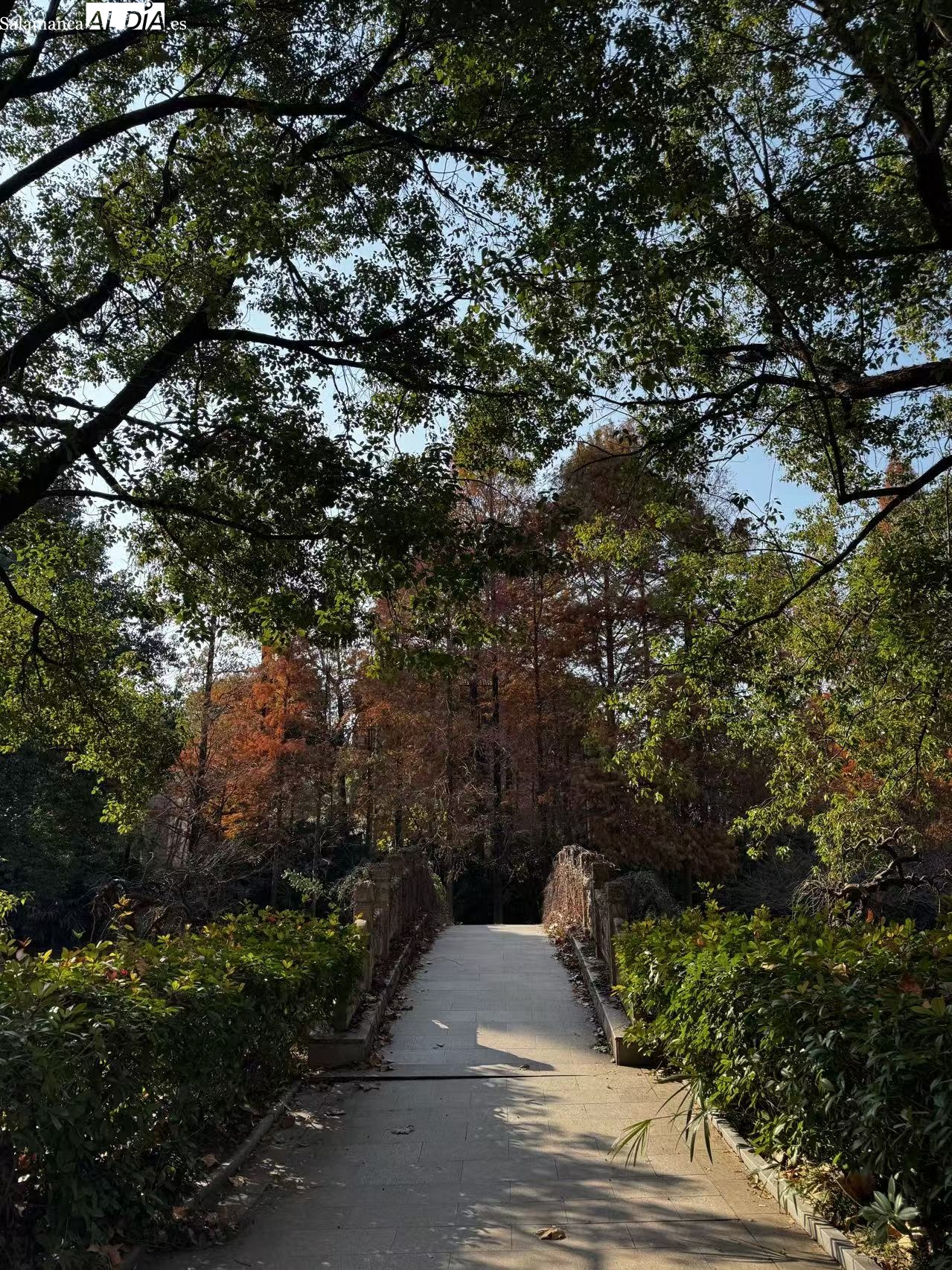 El imperio vertical de la razón