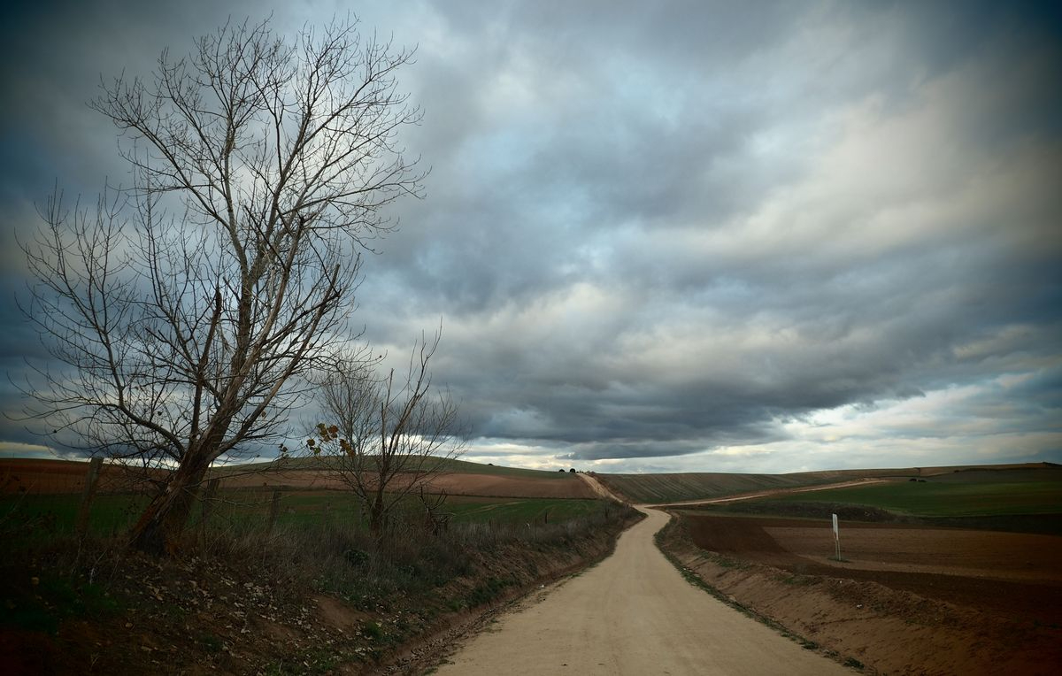 Los caminos de la vida 