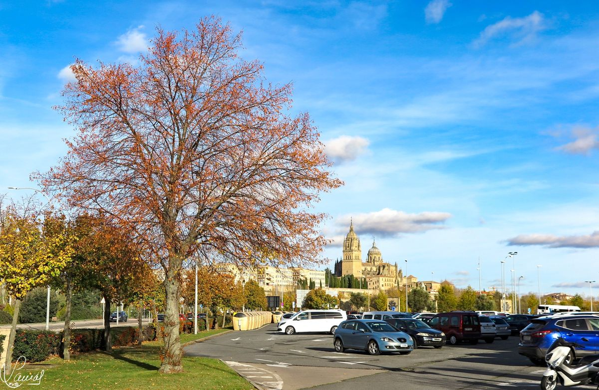 El ahora se vuelve pasado 